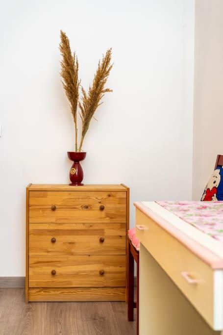 Guesthouse Pet'S Friendly Quattromiglio Kültér fotó